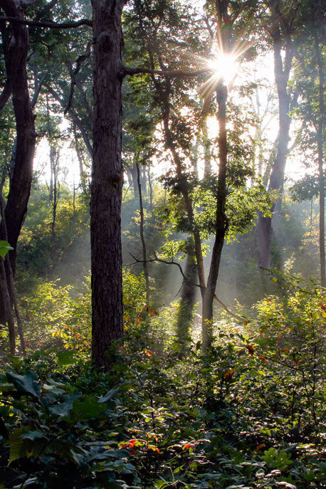Dune Ridge Trail